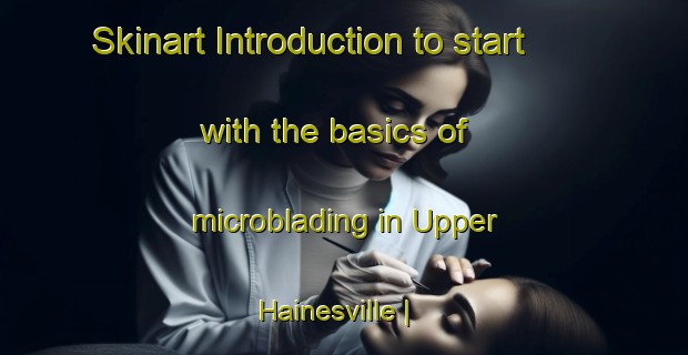 Skinart Introduction to start with the basics of microblading in Upper Hainesville | MicrobladingTraining | MicrobladingClasses | SkinartTraining-Canada